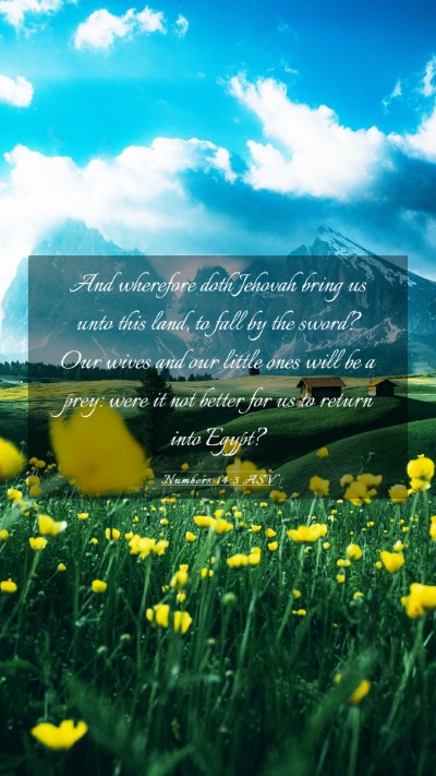 Picture 03 - Numbers 14:3 ASV Mobile Phone Wallpaper - And wherefore doth Jehovah bring us unto this - Mobile Bible Verse Wallpaper