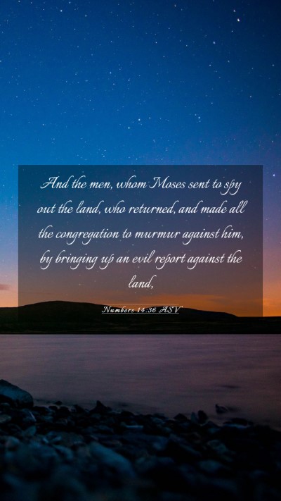 Picture 03 - Numbers 14:36 ASV Mobile Phone Wallpaper - And the men, whom Moses sent to spy out the land, - Mobile Bible Verse Wallpaper