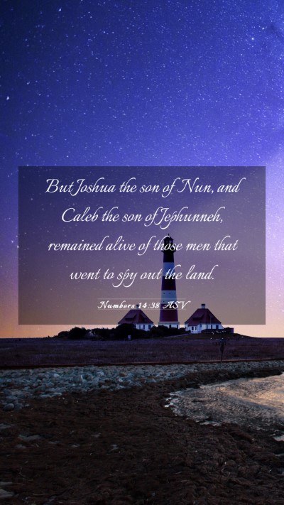 Picture 03 - Numbers 14:38 ASV Mobile Phone Wallpaper - But Joshua the son of Nun, and Caleb the son of - Mobile Bible Verse Wallpaper
