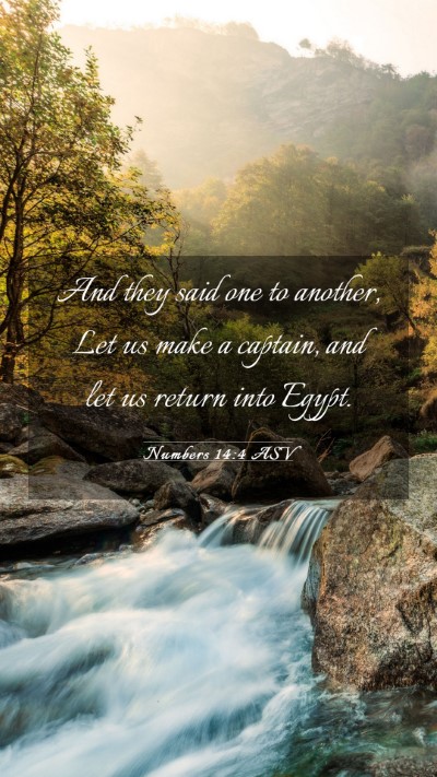 Picture 03 - Numbers 14:4 ASV Mobile Phone Wallpaper - And they said one to another, Let us make a - Mobile Bible Verse Wallpaper