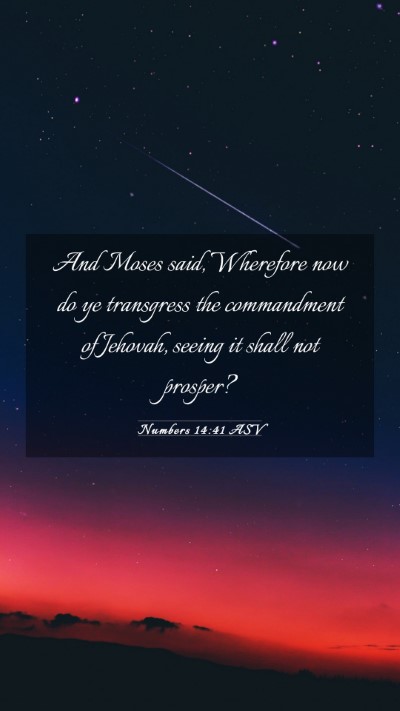 Picture 03 - Numbers 14:41 ASV Mobile Phone Wallpaper - And Moses said, Wherefore now do ye transgress - Mobile Bible Verse Wallpaper