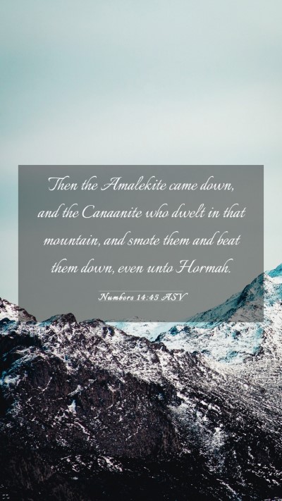 Picture 03 - Numbers 14:45 ASV Mobile Phone Wallpaper - Then the Amalekite came down, and the Canaanite - Mobile Bible Verse Wallpaper