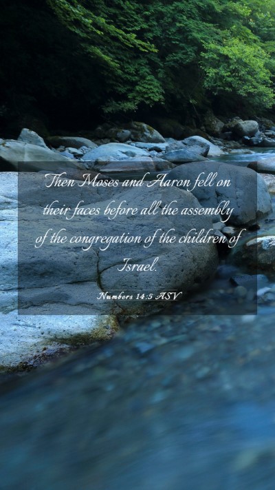Picture 03 - Numbers 14:5 ASV Mobile Phone Wallpaper - Then Moses and Aaron fell on their faces before - Mobile Bible Verse Wallpaper