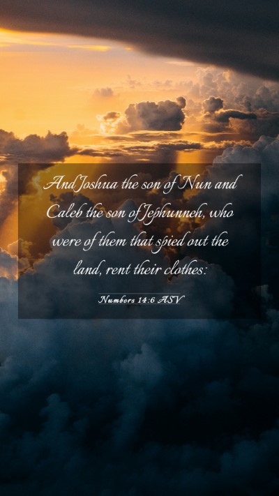 Picture 03 - Numbers 14:6 ASV Mobile Phone Wallpaper - And Joshua the son of Nun and Caleb the son of - Mobile Bible Verse Wallpaper