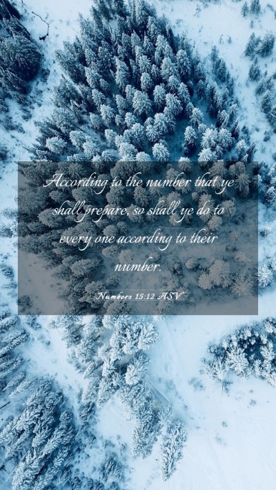 Picture 03 - Numbers 15:12 ASV Mobile Phone Wallpaper - According to the number that ye shall prepare, so - Mobile Bible Verse Wallpaper