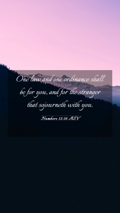 Picture 03 - Numbers 15:16 ASV Mobile Phone Wallpaper - One law and one ordinance shall be for you, and - Mobile Bible Verse Wallpaper