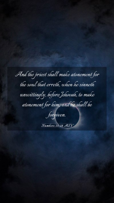 Picture 03 - Numbers 15:28 ASV Mobile Phone Wallpaper - And the priest shall make atonement for the soul - Mobile Bible Verse Wallpaper