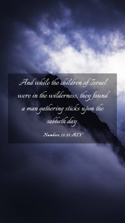 Picture 03 - Numbers 15:32 ASV Mobile Phone Wallpaper - And while the children of Israel were in the - Mobile Bible Verse Wallpaper