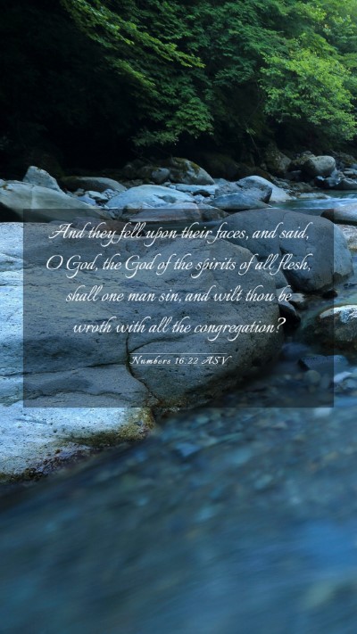 Picture 03 - Numbers 16:22 ASV Mobile Phone Wallpaper - And they fell upon their faces, and said, O God, - Mobile Bible Verse Wallpaper