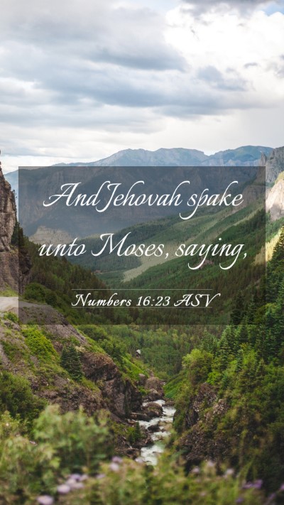 Picture 03 - Numbers 16:23 ASV Mobile Phone Wallpaper - And Jehovah spake unto Moses, - Mobile Bible Verse Wallpaper
