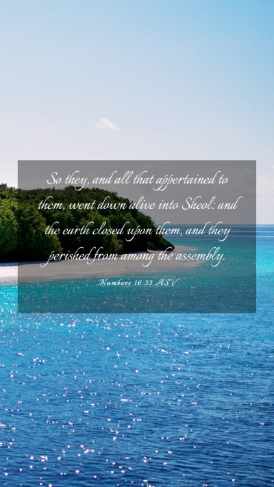 Picture 03 - Numbers 16:33 ASV Mobile Phone Wallpaper - So they, and all that appertained to them, went - Mobile Bible Verse Wallpaper