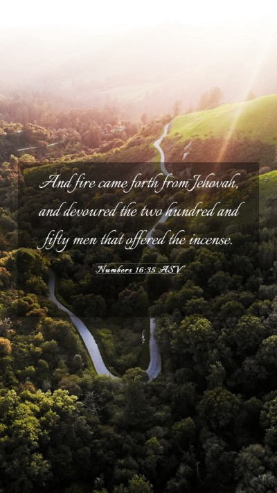 Picture 03 - Numbers 16:35 ASV Mobile Phone Wallpaper - And fire came forth from Jehovah, and devoured - Mobile Bible Verse Wallpaper