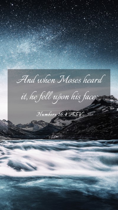 Picture 03 - Numbers 16:4 ASV Mobile Phone Wallpaper - And when Moses heard it, he fell upon his - Mobile Bible Verse Wallpaper