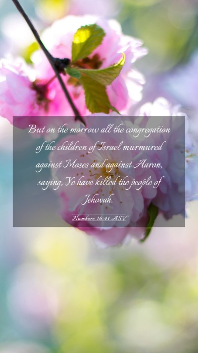 Picture 03 - Numbers 16:41 ASV Mobile Phone Wallpaper - But on the morrow all the congregation of the - Mobile Bible Verse Wallpaper