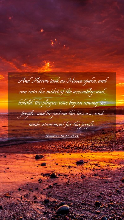 Picture 03 - Numbers 16:47 ASV Mobile Phone Wallpaper - And Aaron took as Moses spake, and ran into the - Mobile Bible Verse Wallpaper