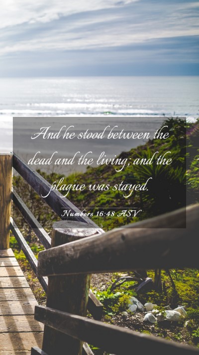 Picture 03 - Numbers 16:48 ASV Mobile Phone Wallpaper - And he stood between the dead and the living; and - Mobile Bible Verse Wallpaper