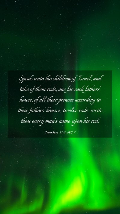 Picture 03 - Numbers 17:2 ASV Mobile Phone Wallpaper - Speak unto the children of Israel, and take of - Mobile Bible Verse Wallpaper