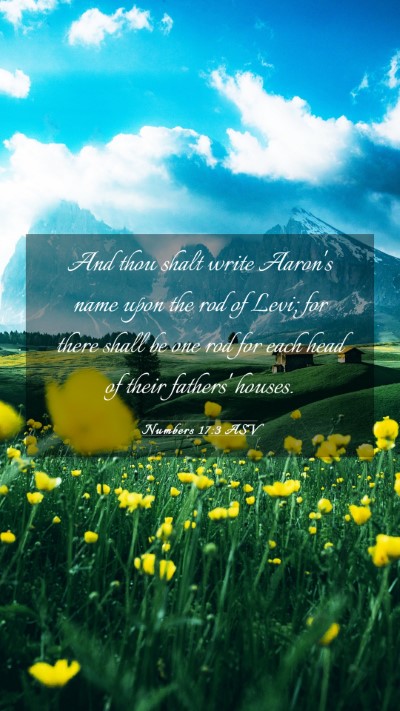 Picture 03 - Numbers 17:3 ASV Mobile Phone Wallpaper - And thou shalt write Aaron's name upon the rod of - Mobile Bible Verse Wallpaper