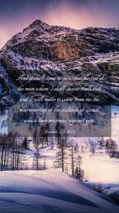 Picture 03 - Numbers 17:5 ASV Mobile Phone Wallpaper - And it shall come to pass, that the rod of the - Mobile Bible Verse Wallpaper