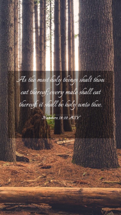 Picture 03 - Numbers 18:10 ASV Mobile Phone Wallpaper - As the most holy things shalt thou eat thereof; - Mobile Bible Verse Wallpaper