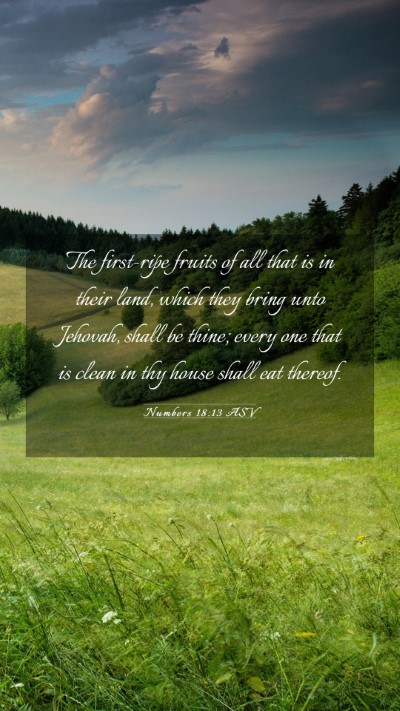Picture 03 - Numbers 18:13 ASV Mobile Phone Wallpaper - The first-ripe fruits of all that is in their - Mobile Bible Verse Wallpaper