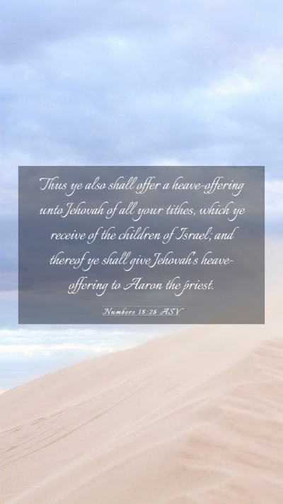 Picture 03 - Numbers 18:28 ASV Mobile Phone Wallpaper - Thus ye also shall offer a heave-offering unto - Mobile Bible Verse Wallpaper