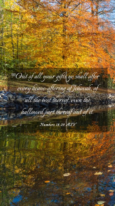 Picture 03 - Numbers 18:29 ASV Mobile Phone Wallpaper - Out of all your gifts ye shall offer every - Mobile Bible Verse Wallpaper