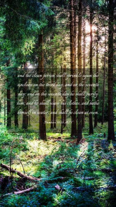 Picture 03 - Numbers 19:19 ASV Mobile Phone Wallpaper - and the clean person shall sprinkle upon the - Mobile Bible Verse Wallpaper