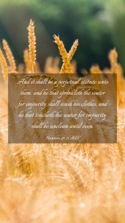 Picture 03 - Numbers 19:21 ASV Mobile Phone Wallpaper - And it shall be a perpetual statute unto them: - Mobile Bible Verse Wallpaper