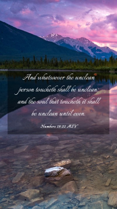 Picture 03 - Numbers 19:22 ASV Mobile Phone Wallpaper - And whatsoever the unclean person toucheth shall - Mobile Bible Verse Wallpaper