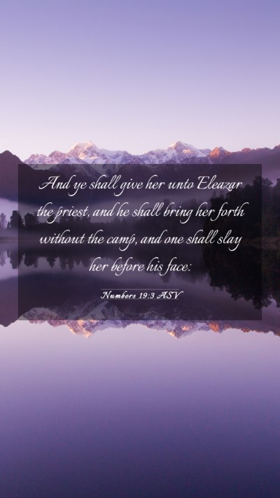 Picture 03 - Numbers 19:3 ASV Mobile Phone Wallpaper - And ye shall give her unto Eleazar the priest, - Mobile Bible Verse Wallpaper