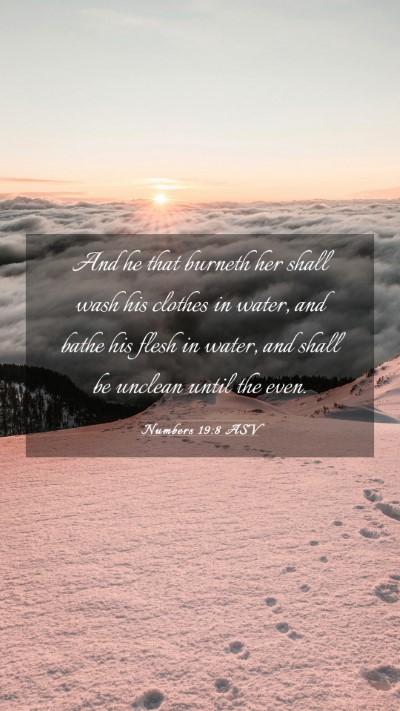 Picture 03 - Numbers 19:8 ASV Mobile Phone Wallpaper - And he that burneth her shall wash his clothes in - Mobile Bible Verse Wallpaper