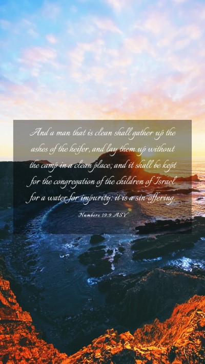 Picture 03 - Numbers 19:9 ASV Mobile Phone Wallpaper - And a man that is clean shall gather up the ashes - Mobile Bible Verse Wallpaper