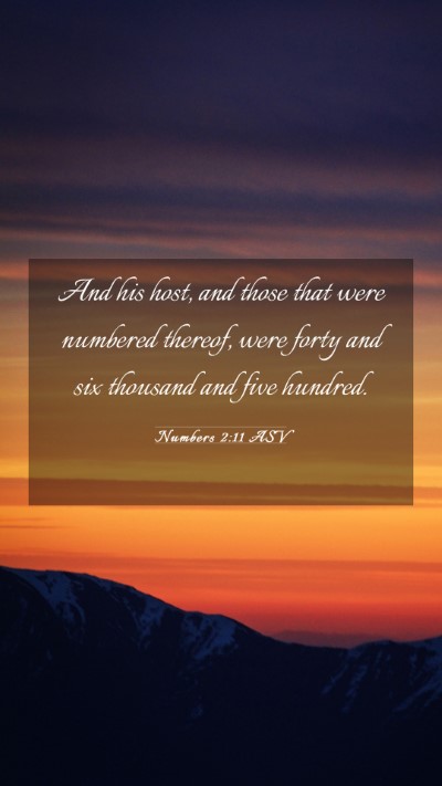Picture 03 - Numbers 2:11 ASV Mobile Phone Wallpaper - And his host, and those that were numbered - Mobile Bible Verse Wallpaper