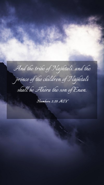 Picture 03 - Numbers 2:29 ASV Mobile Phone Wallpaper - And the tribe of Naphtali: and the prince of the - Mobile Bible Verse Wallpaper
