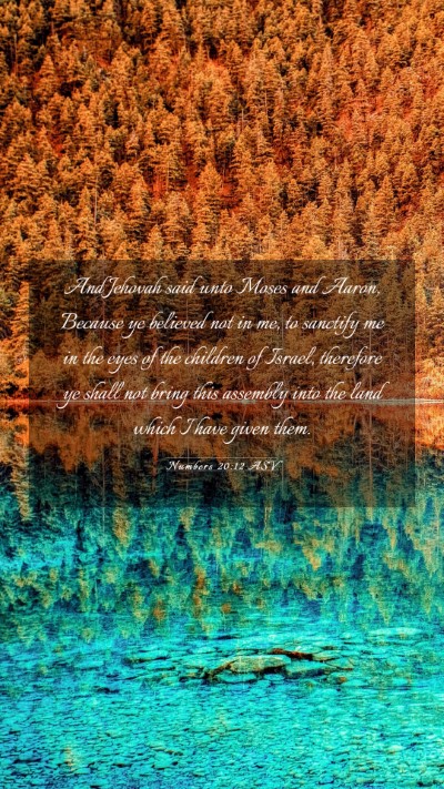 Picture 03 - Numbers 20:12 ASV Mobile Phone Wallpaper - And Jehovah said unto Moses and Aaron, Because ye - Mobile Bible Verse Wallpaper
