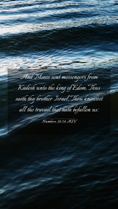 Picture 03 - Numbers 20:14 ASV Mobile Phone Wallpaper - And Moses sent messengers from Kadesh unto the - Mobile Bible Verse Wallpaper