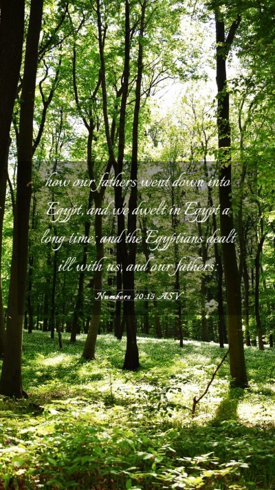 Picture 03 - Numbers 20:15 ASV Mobile Phone Wallpaper - how our fathers went down into Egypt, and we - Mobile Bible Verse Wallpaper
