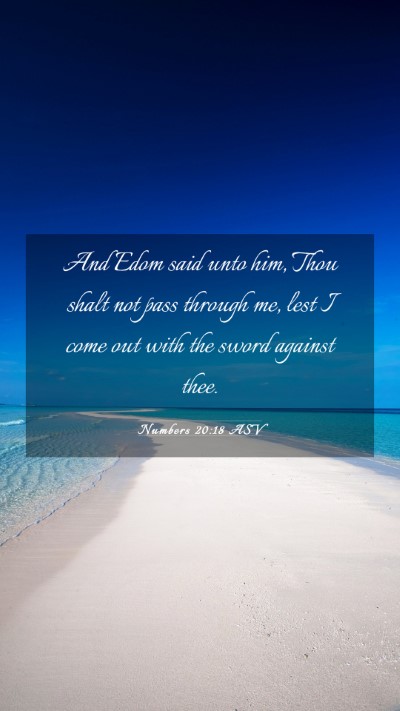 Picture 03 - Numbers 20:18 ASV Mobile Phone Wallpaper - And Edom said unto him, Thou shalt not pass - Mobile Bible Verse Wallpaper