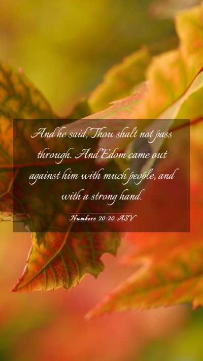 Picture 03 - Numbers 20:20 ASV Mobile Phone Wallpaper - And he said, Thou shalt not pass through. And - Mobile Bible Verse Wallpaper