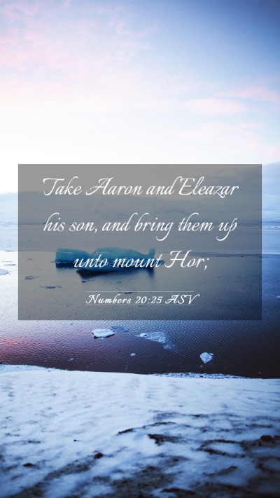 Picture 03 - Numbers 20:25 ASV Mobile Phone Wallpaper - Take Aaron and Eleazar his son, and bring them up - Mobile Bible Verse Wallpaper