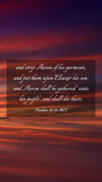 Picture 03 - Numbers 20:26 ASV Mobile Phone Wallpaper - and strip Aaron of his garments, and put them - Mobile Bible Verse Wallpaper
