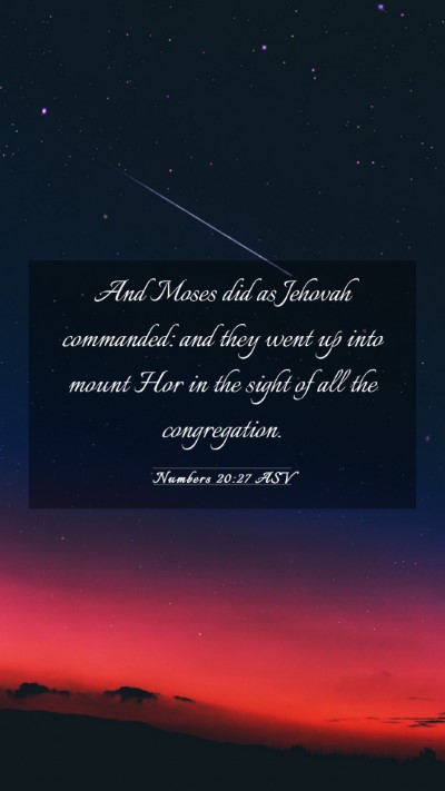 Picture 03 - Numbers 20:27 ASV Mobile Phone Wallpaper - And Moses did as Jehovah commanded: and they went - Mobile Bible Verse Wallpaper