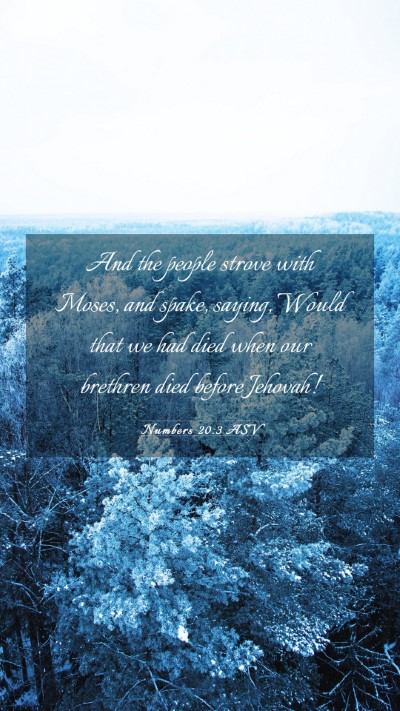 Picture 03 - Numbers 20:3 ASV Mobile Phone Wallpaper - And the people strove with Moses, and spake, - Mobile Bible Verse Wallpaper