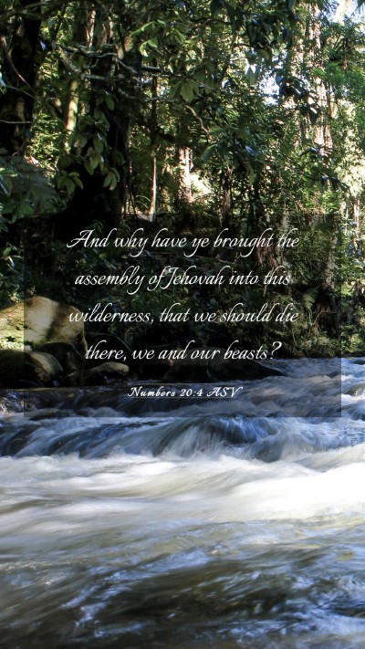 Picture 03 - Numbers 20:4 ASV Mobile Phone Wallpaper - And why have ye brought the assembly of Jehovah - Mobile Bible Verse Wallpaper