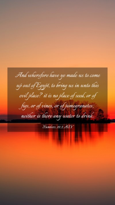 Picture 03 - Numbers 20:5 ASV Mobile Phone Wallpaper - And wherefore have ye made us to come up out of - Mobile Bible Verse Wallpaper