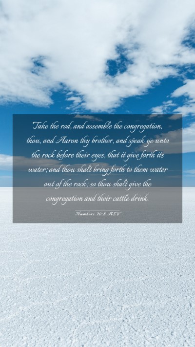 Picture 03 - Numbers 20:8 ASV Mobile Phone Wallpaper - Take the rod, and assemble the congregation, - Mobile Bible Verse Wallpaper
