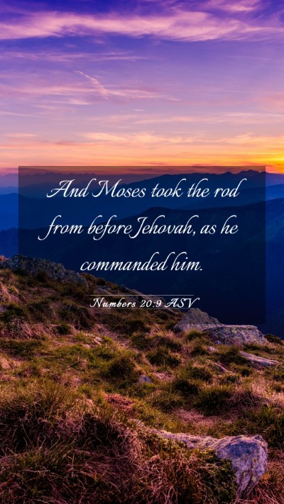 Picture 03 - Numbers 20:9 ASV Mobile Phone Wallpaper - And Moses took the rod from before Jehovah, as he - Mobile Bible Verse Wallpaper