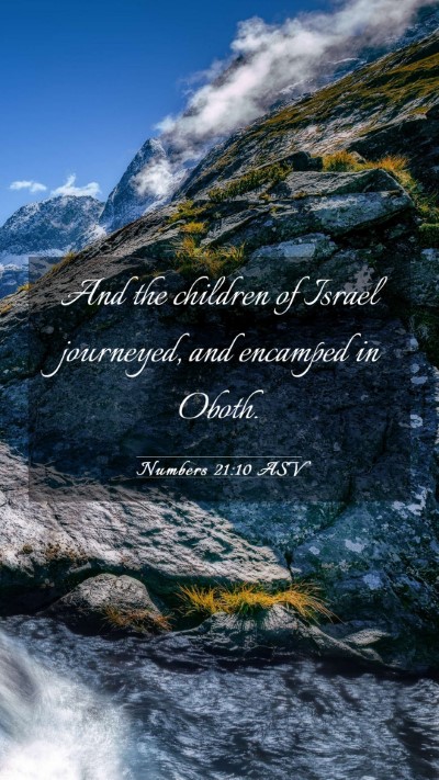 Picture 03 - Numbers 21:10 ASV Mobile Phone Wallpaper - And the children of Israel journeyed, and - Mobile Bible Verse Wallpaper