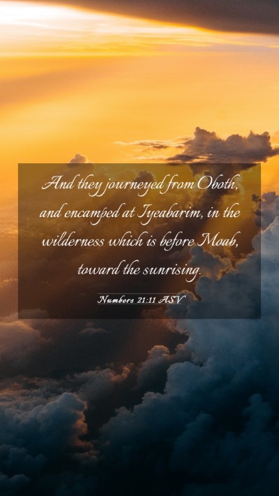 Picture 03 - Numbers 21:11 ASV Mobile Phone Wallpaper - And they journeyed from Oboth, and encamped at - Mobile Bible Verse Wallpaper